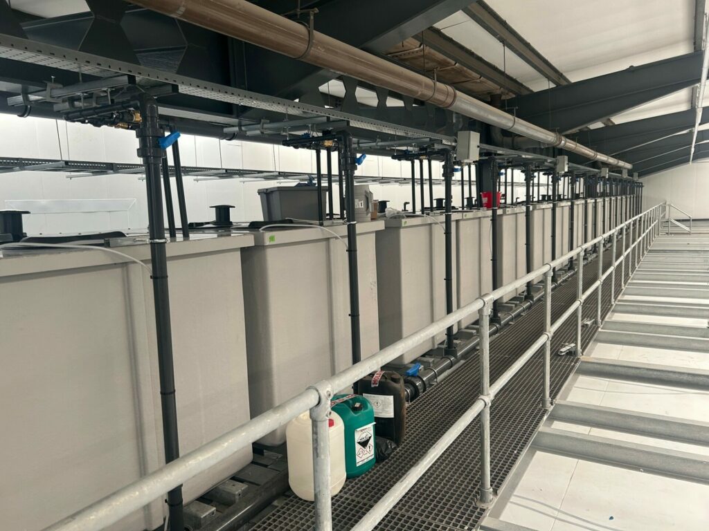 custom water storage solutions
